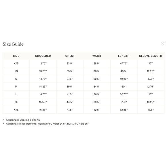 HYACINTH HOUSE Toffee Nut Taffeta Mere Dress NWT size XS Retail $178 - Picture 4 of 5